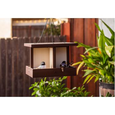Imagem de New Age Pet® Alimentador de pássaros ECOFLEX® Beak Buffet – Alimentador suspenso durável e resistente ao clima para pássaros selvagens, alimentador ecológico para pássaros ao ar livre