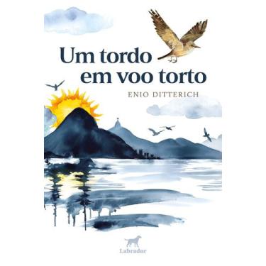 Imagem de Livro - Um tordo em voo torto