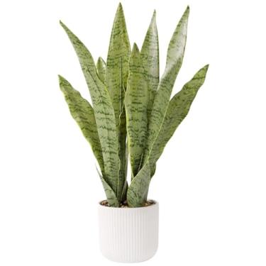 Imagem de DUZYXI Planta de cobra artificial realista 54,6 cm com vaso branco, plantas de cobra falsas Sansevieria Greenery Faux Snake Plant para casa, escritório, sala de estar, presentes de inauguração de casa