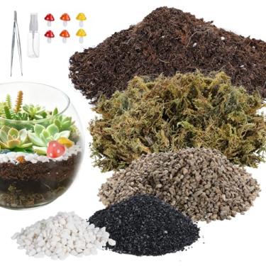 Imagem de Kit de terrário para adultos – Inclui pedra-pomes, musgo, terra, pedras, carvão, 2 ferramentas, ornamentos de cogumelos para cactos suculentos, acessórios de terrário de Natal, presentes de decoração