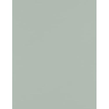 Imagem de LUXPaper Cartolina 21,6 cm x 28 cm | Tamanho carta | Cinza ardósia | Capa de 45 kg (texto de 83 kg) | Quantidade de 250