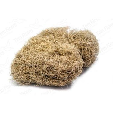 Imagem de Musgo Barba pc 10 Lts Para Orquideas e Decoração - Pense Flores