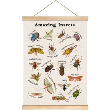Imagem de You found a duck Incrível arte de parede educativa de insetos, 35,5 x 47 cm, Entendendo a tabela de besouros para sala de aula, sala de jogos