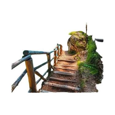 Imagem de Momoart gato pintura diamante animal colorido diamante mosaico imagem 