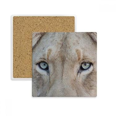 Imagem de Terrestre Organismo Selvagem Animal Leão Branco Quadrado Porta-copos Caneca Suporte Subplaca Pedra Isolamento