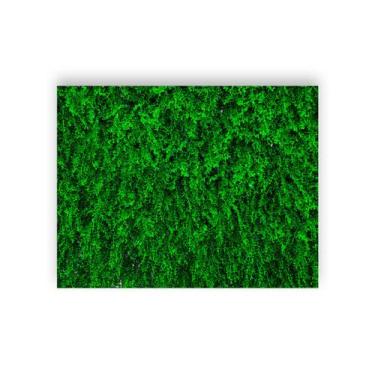 Imagem de Fundo Fotográfico 1,55 X 1,20 - Efeito Muro Folhagens  019 - Via Cores