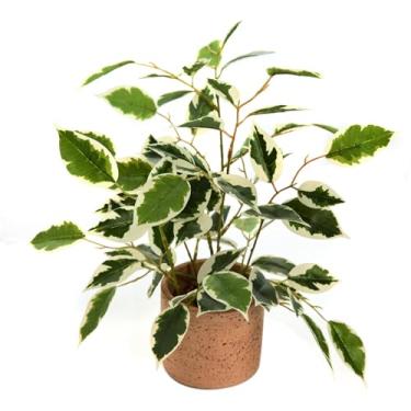 Imagem de Ainuowei Plantas falsas de 32,8 cm, folhas de plástico ficus, plantas artificiais com vaso de cimento rústico, plantas artificiais de seda realista, perfeitas para casa, prateleira, banheiro, cozinha