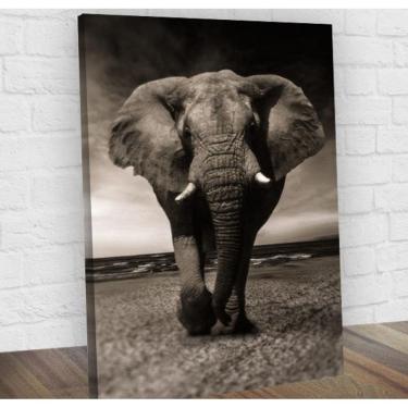 Imagem de Quadro Decorativo Elefante Midiapoparte Salas 60X80
