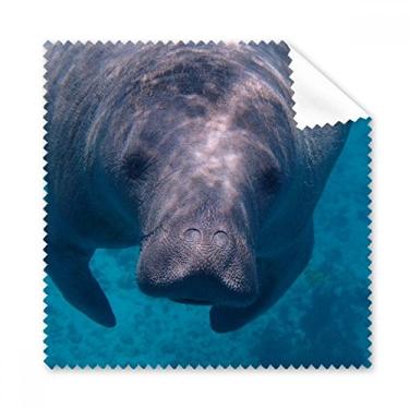Imagem de Pano de limpeza de imagem animal para fotografia de organismo marinho limpador de óculos de tela de telefone 5 peças