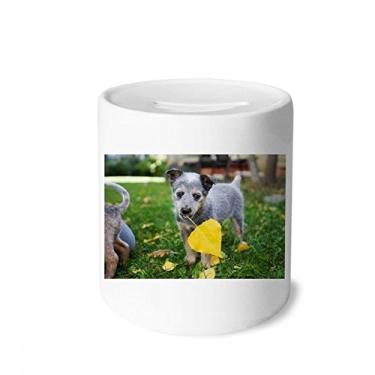 Imagem de DIYthinker Lindo filhote de cachorro com foto de animal de estimação caixa de dinheiro caixa de cerâmica porta-moedas presente de cofrinho