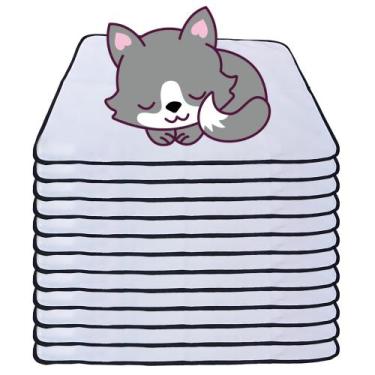 Imagem de 12 Caminhas para Cães e Gatos Dobrável 200 Lavagens 100x70 Branco com 