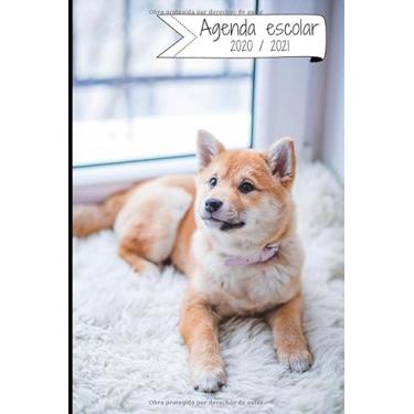 Imagem de AGENDA ESCOLAR 2020-2021: Agenda semana vista (Septiembre 2020 / Agosto 2021) | Planificador semanal (Español) | Calendario | Colegio, secundaria, estudiante | Tapa blanda Perrito