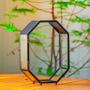 Imagem de NCYP Terrário de vidro com malha e porta para aranhas saltadoras, caracóis, insetos - Terrário pequeno em forma de octógono para suculentas 15,7 x 7,9 x 22 cm, decoração de mesa preta (plantas não