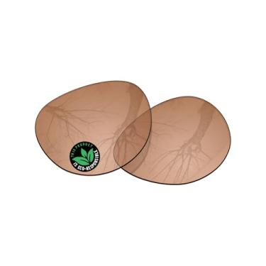 Imagem de Raydi Lentes de reposição de policarbonato para óculos de sol RayBan Meta Headliner RW4009F 51 mm - marrom - não polarizado