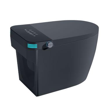 Imagem de Vaso Sanitário Inteligente Itoilet Pro Cinza - Ac 110V