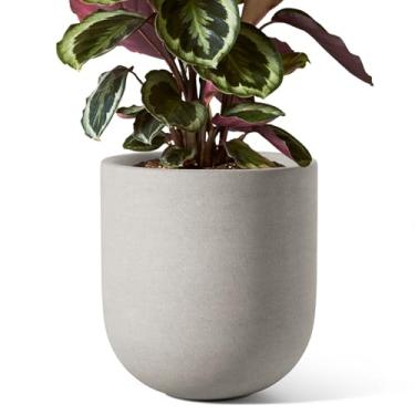 Imagem de LE TAUCI Vaso de 20 cm, vaso de cerâmica com orifício de drenagem e plugue de borracha, plantador interno para ervas e pequenas plantas domésticas, plantador cilíndrico para escritório em casa, cinza