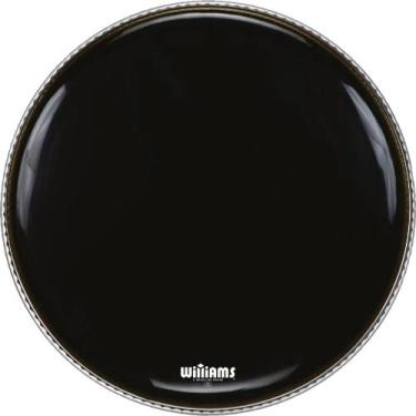 Imagem de Pele 22 Williams de Bumbo com ANEL Interno Clear W1SC