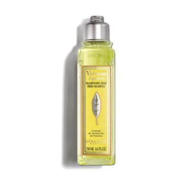 Imagem de Shampoo Refrescante Citrus Verbena Loccitane Provence 250ml
