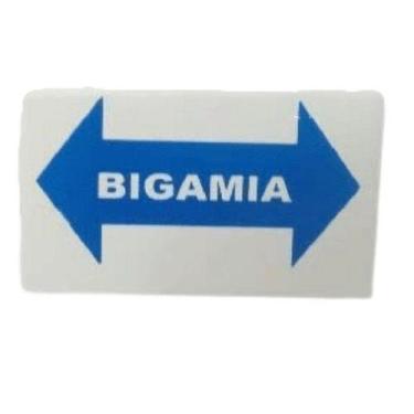 Imagem de Plaqueta de Identificação de Alumínio - Bigamia - Artesanal