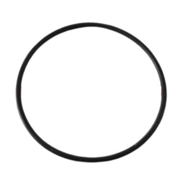 Imagem de Anel Vedação Filtro Aqualar Bella Fonte 3m Cuno Acqua PN555 - OR1237