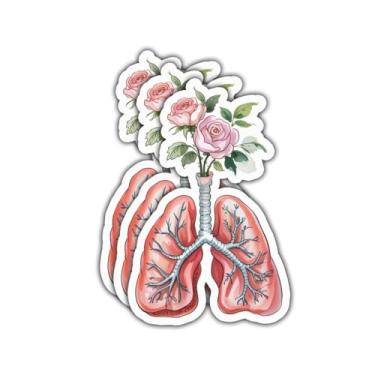 Imagem de (3 peças - 7,6 cm) Adesivos florais fofos de anatomia pulmonológica pulmonologia, decalques de vinil médico vintage presentes para estudantes, enfermeiros, médicos, professores, para laptop, garrafa