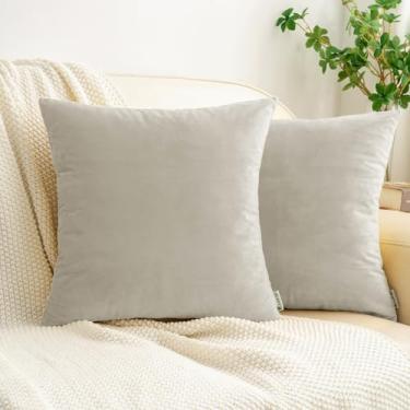 Imagem de HWY 50 Fronhas de veludo cinza prata 40 x 40 cm conjunto de 2 capas de almofadas de sofá decorativas macias e laváveis e aconchegantes para sofá sofá sala de estar cama
