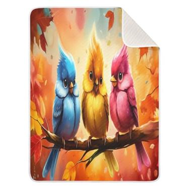 Imagem de Wassud Manta de bebê de pássaros coloridos para meninos e meninas, cobertor de bebê para recém-nascidos, essencial para recém-nascidos, cobertores macios 76 x 101 cm