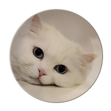 Imagem de Prato de relaxamento de animal de estimação gato branco gatinho prato decorativo de porcelana salver louças de jantar