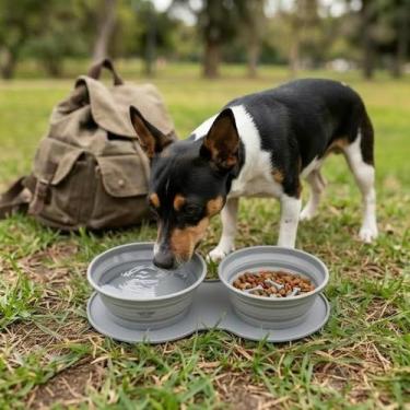 Imagem de Comedouro Caes Duplo Portátil Antiengasgo Para Viagem Fácil Limpeza Be