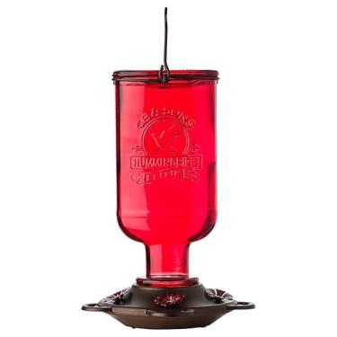 Imagem de Alimentador de beija-flor More Birds Elixir, frasco de remédio de vidro vintage, 5 portas de alimentação e capacidade de néctar de 368 g