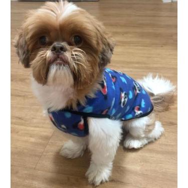 Imagem de Roupa de Soft para Pet, Macho, tamanho 2 - Concept Pet