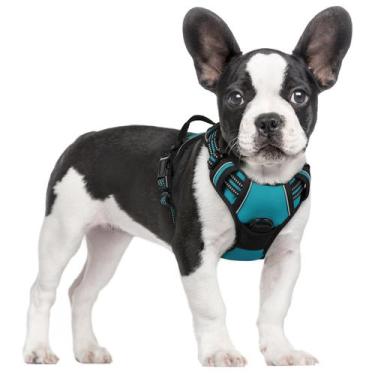 Imagem de Dog Harness rabbitgoo No Pull, verde-azulado ajustável para cães peque
