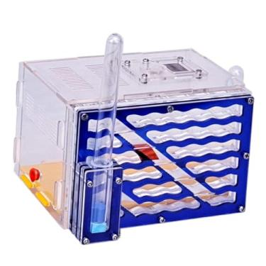 Imagem de MFMEXUL Caixa de Exibição de de Formigas com Alimentador, Habitat Educacional Transparente de Fazenda de Formigas para Presente, Decoração, Dia