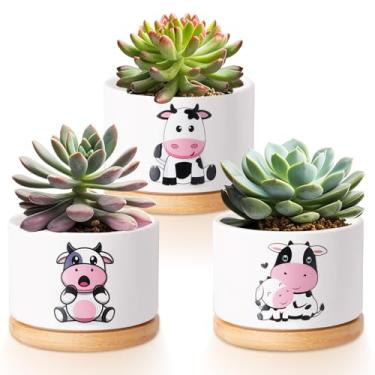 Imagem de Vesici 3 vasos de suculentas de vaca com drenagem e bandeja de bambu, pequenos vasos de suculentas de cerâmica para mini plantas, cacto, animal, planta, vaso para escritório, decoração de casa