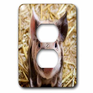 Imagem de 3dRose (lsp_236497_6) 2 plugues capa adorável fazenda bebê porco