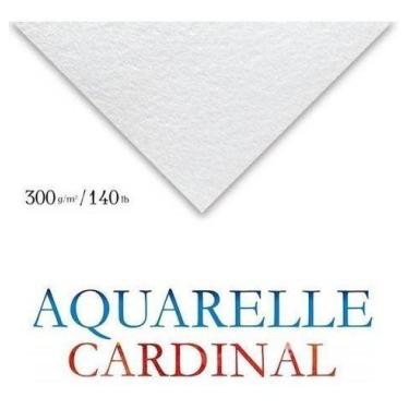 Imagem de Papel Aquarela Cardinal Fl 50x65cm 300g/m² - Clairefontaine