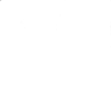 Imagem de Papel De Parede Lambreta Rosa Paris Bicicleta Taça Love Amor