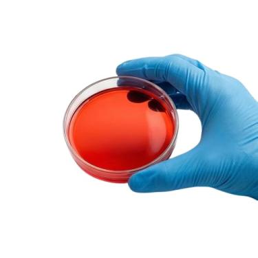 Imagem de Placa de Petri para cultura vegetal 100 x 15 mm, poliestireno estéril, empilhável, SPL Life Sciences, embalagem com 10 placas