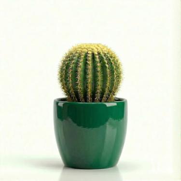 Imagem de Genérico, Cimento, Vaso Quadrado, Branco Brilhante, 12x10x11 cm, Elegante, Decorativo, Para Plantas