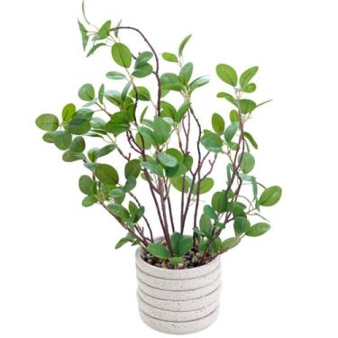 Imagem de AlphaAcc Plantas artificiais de 32 cm, folhas de violino, plantas falsas decorativas em vaso em vaso branco redondo de concreto, plantas falsas realistas em vasos para sala de estar, cozinha, quarto