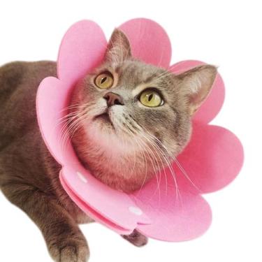 Imagem de Colar Elizabetano Gato Pet Caes Cirurgia Recuperaçao Cone Ajustavael D