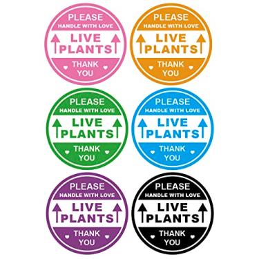 Imagem de 5 cm, 300 peças, 6 cores, cabo de plantas vivas com etiquetas de cuidado, adesivos à prova d'água, caixas de correio, envelopes, etiquetas adesivas