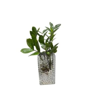 Imagem de Vaso decorativo Cristal  22,05cm Micromax