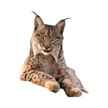 Imagem de Pintura Em Tela Sem Moldura Com Tema De Animal Lince Para Decoração De