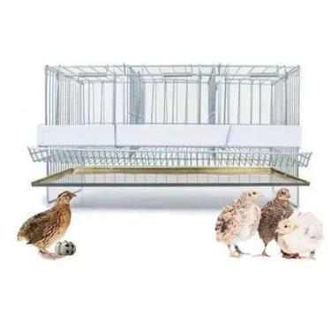 Imagem de Gaiola Para Codorna Poedeira 3 Divisórias Completa - Vapet Vupet, 0
