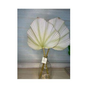 Imagem de Folha de Latania Nude em EVA  tons esverdeados  66 cm de altura e 35 c