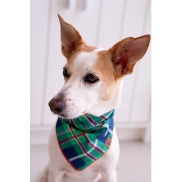 Imagem de Bandana Mandacaru - BenDog, GG
