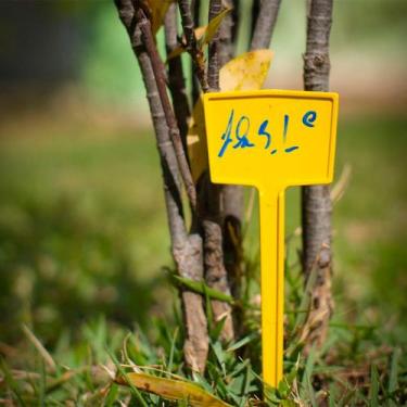 Imagem de kit 5 a 10 Etiquetas plaquinhas de identificação para horta plantas ja