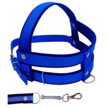 Imagem de Conjunto Peitoral Com Guia De Nylon Reforçado Super Resistente Para Cachorro Cão Grande Porte Anti Puxão (Azul, G)