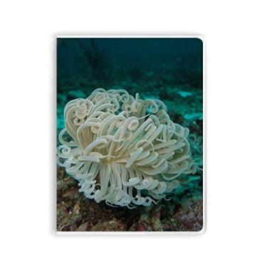Imagem de Caderno de água-viva verde oceano ciência natureza capa de goma diário capa macia